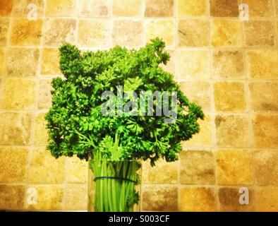 Fresh parsley in water glass Stock Photo