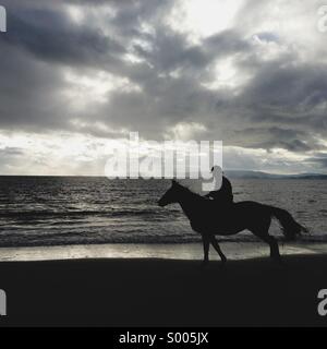 Horse and rider on beach silhouette Stock Photo