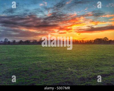 Sunset over fields Stock Photo