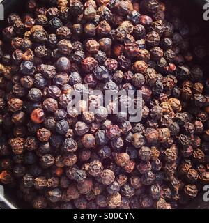 Black pepper corns. Stock Photo