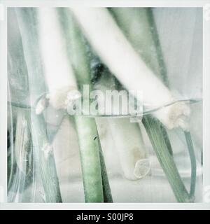 Desaturated close up photo of tulip stems in clear glass vase. Stock Photo