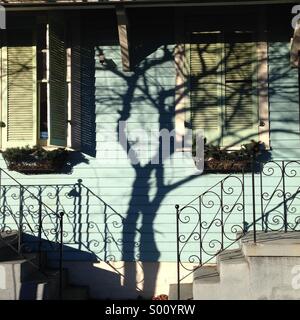 Abstract of tree shadow on an old New Orleans house. Stock Photo