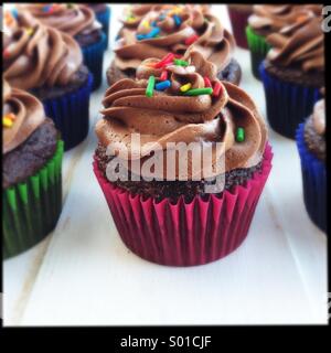 Chocolate cupcakes with sprinkles Stock Photo