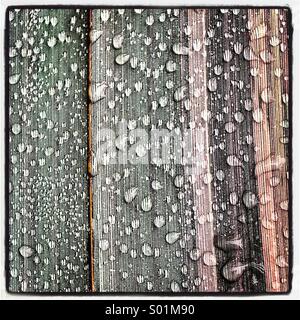 Rain drops on green striped leaf Stock Photo