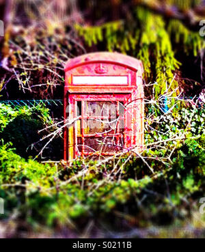 Old British phone box, now abandoned and overgrown Stock Photo