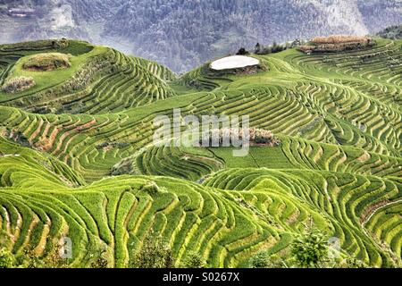 Longsheng Rice Terrace, China Stock Photo