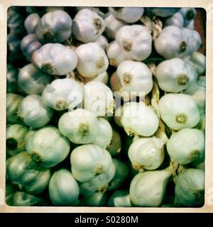 Garlic bulbs on market stall Stock Photo