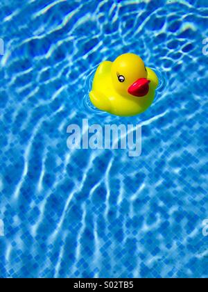 Yellow rubber duck in swimming pool Stock Photo