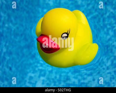 A cute rubber duck in a swimming pool Stock Photo - Alamy