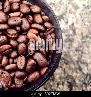 Coffee beans. Stock Photo