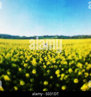 Happy Girl In A Rapeseed Field Stock Photo