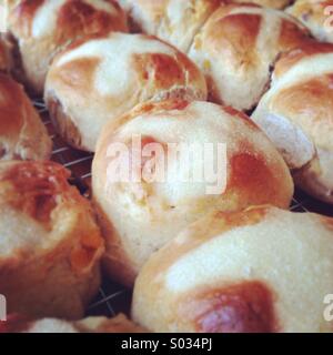 Home made hot cross buns Stock Photo