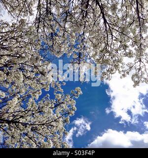 Looking up. Stock Photo