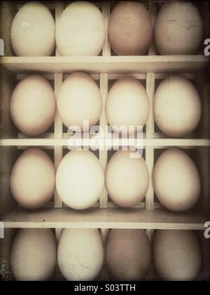 Rows of fresh chicken eggs in a wooden box Stock Photo