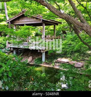 Serene scene at the Japanese Gardens of the Botanic Gardens of Fort Worth, Texas. Stock Photo