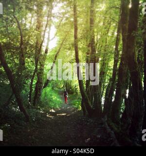 Woman walking on path through green forest in summer Stock Photo