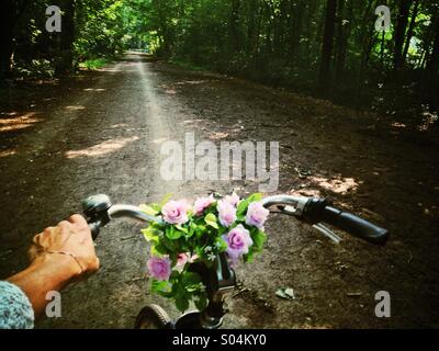 Cycling through the park, close up of woman's hand holding bicycle handlebar, view of Lane through woods, sun light Stock Photo