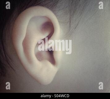 A baby's ear Stock Photo