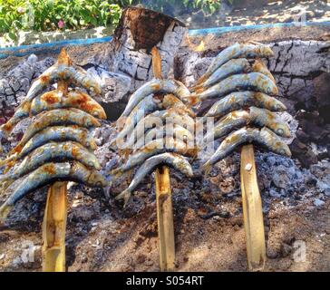 Sardines cooking on skewers over an open fire. Stock Photo