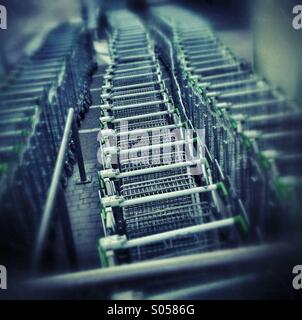 Lines of shopping trolleys outside a store. Stock Photo