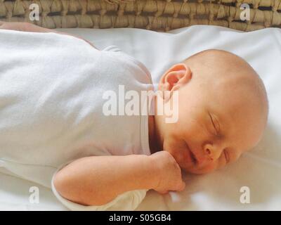 One week old baby boy asleep in Moses basket Stock Photo
