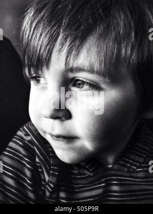 Young Caucasian toddler boy portrait. Stock Photo