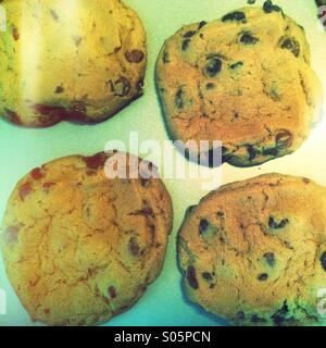 Four freshly baked chocolate chip cookies. Stock Photo