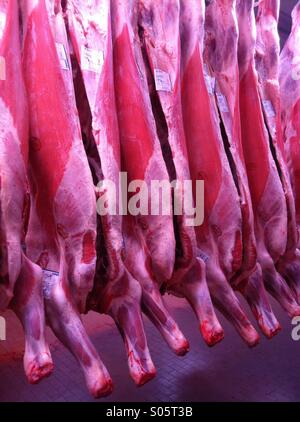 Beef carcasses hung in an abattoir Stock Photo