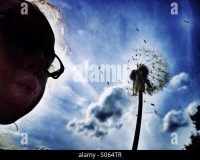 Girl blowing on dandelion clock Stock Photo
