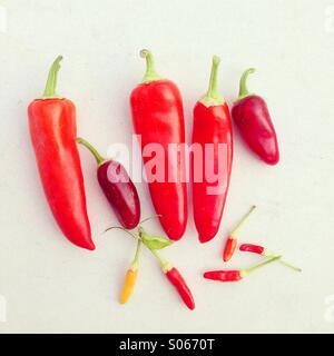 Chili peppers on white background Stock Photo