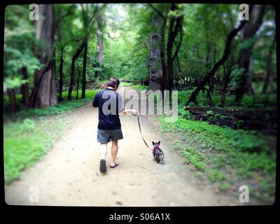 A man walking a small dog in the woods. Stock Photo