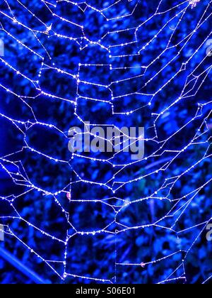 Dew on blue spiders web Stock Photo