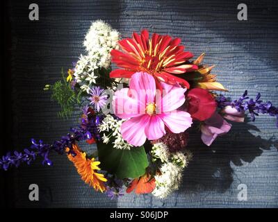 Late summer bouquet of cosmos, zinnia, dahlia, calendula, asters, marigolds, garlic chives, sweet pea, Victoria salvia, sedum and nasturtium gathered in a garden in New Jersey. Stock Photo