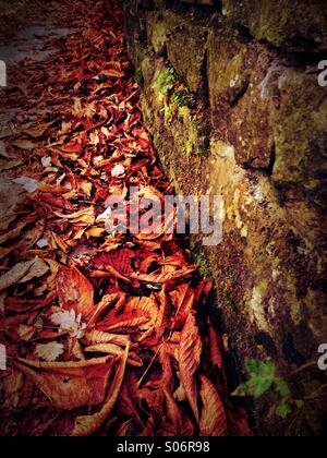 Autumn leaves by moss covered stone wall Stock Photo