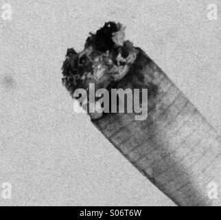 Black and white shot of the end if a lit, hand rolled cigarette Stock Photo