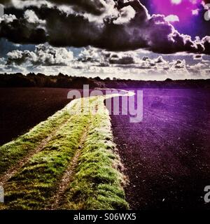 Grass footpath across freshly ploughed field Stock Photo