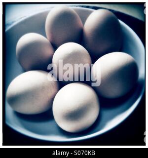 Fresh hens eggs in a white bowl Stock Photo