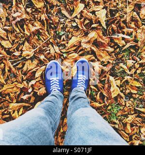 Walking feet on fallen autumn leaves Stock Photo