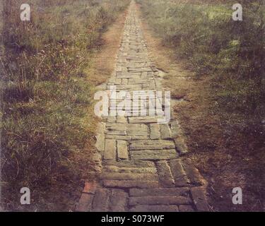 Brick path through grassy field Stock Photo