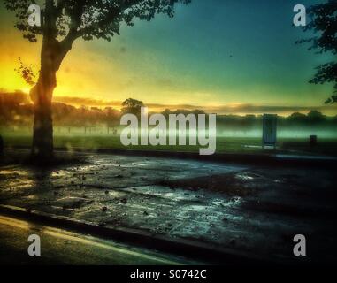 A misty morning on Peckham Rye Park Stock Photo