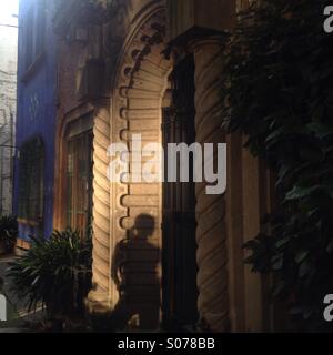 The shadow of a woman is cast on a door at sunset in Colonia Condesa, Mexico City, Mexico Stock Photo