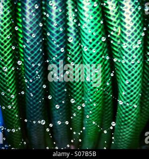 Droplets of water on a spiders web in front of a coiled hose pipe