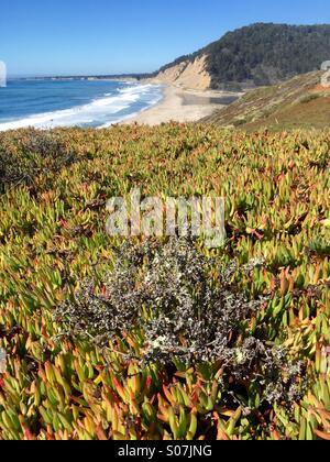 Pacific Coastline, Waddell Beach CA Stock Photo