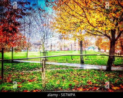 Autumn in Peckham Rye Park Stock Photo