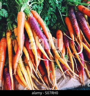 Bunches of fresh, colourful carrots Stock Photo
