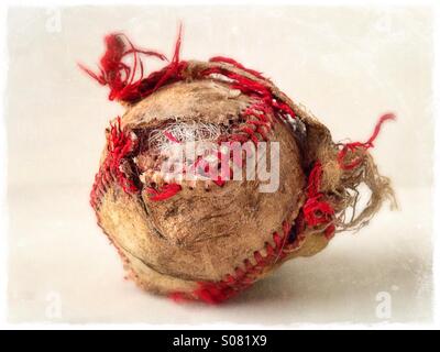 An old baseball ripped at the seams. Stock Photo