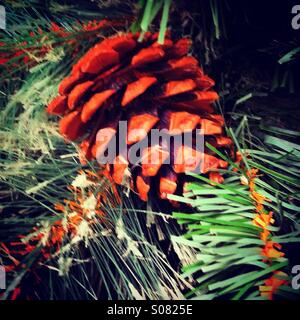Pine cone in xmas tree Stock Photo
