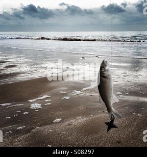 Catch of the Day Stock Photo