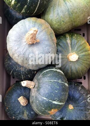 Pumpkins being sold Stock Photo - Alamy