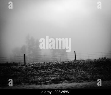 Winter landscape in black and white. Fog has swallowed up the trees in the background, with the sharp wire fence standing clearly up front. Stock Photo